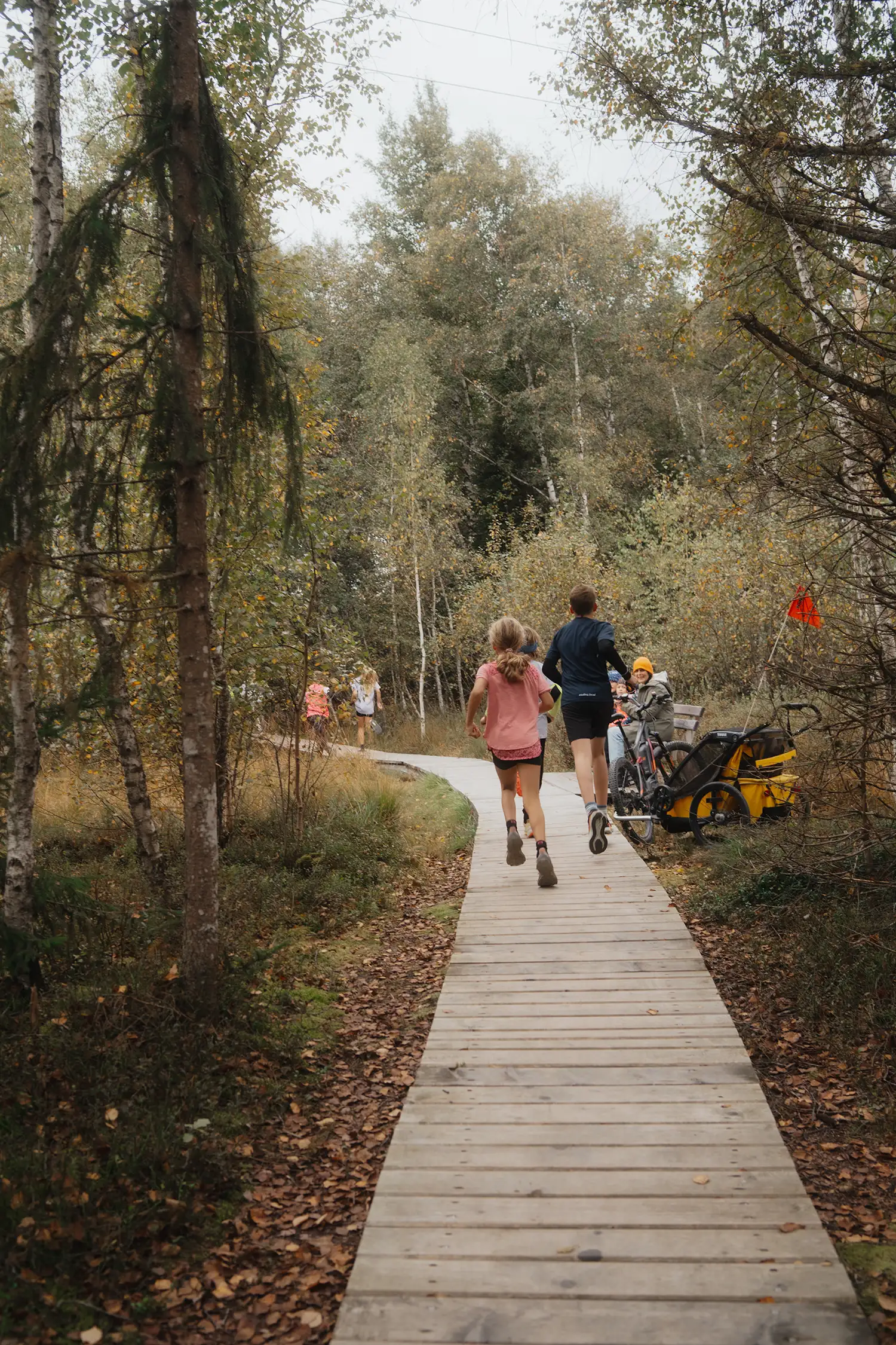 Läufe für Groß und Klein