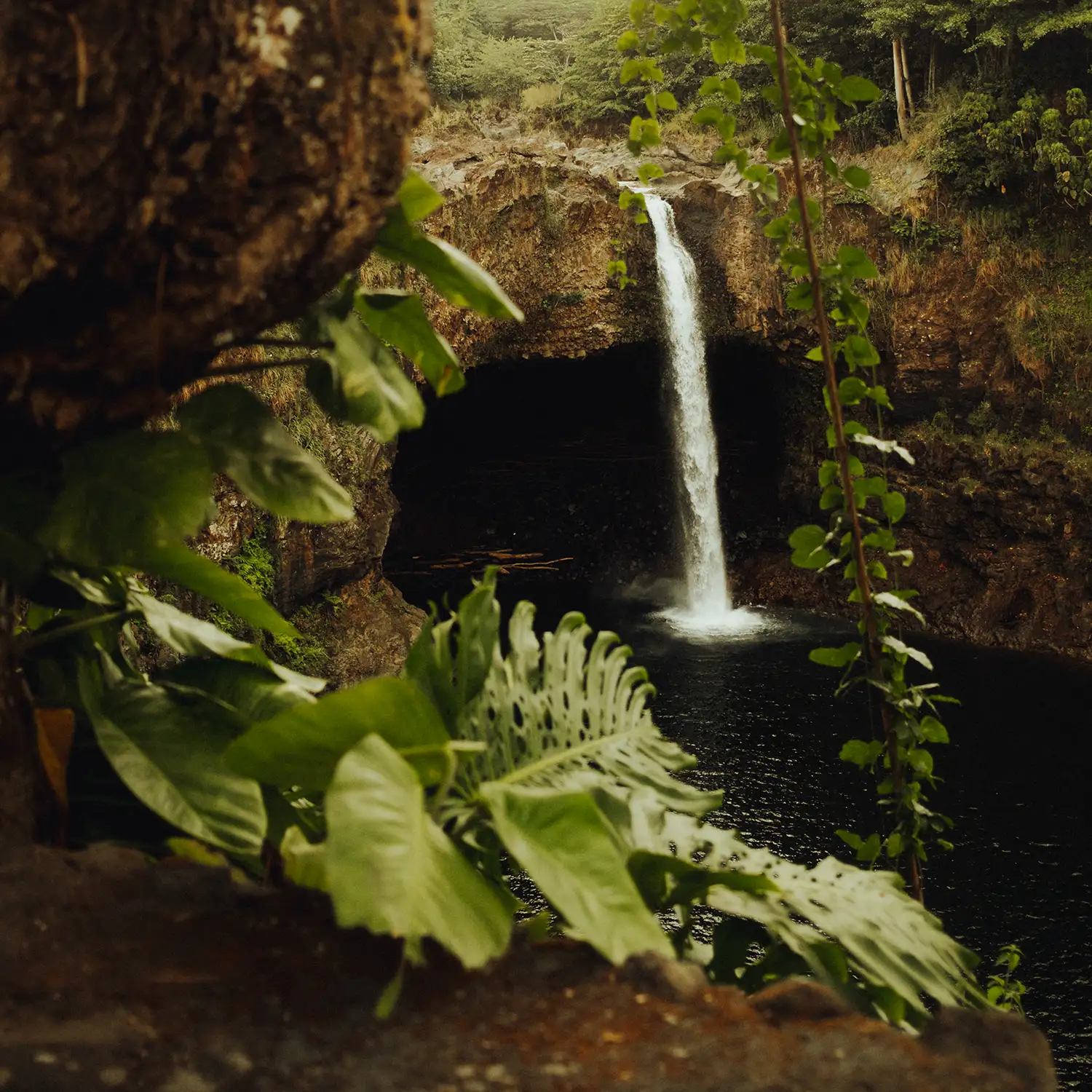 Volcano National Park