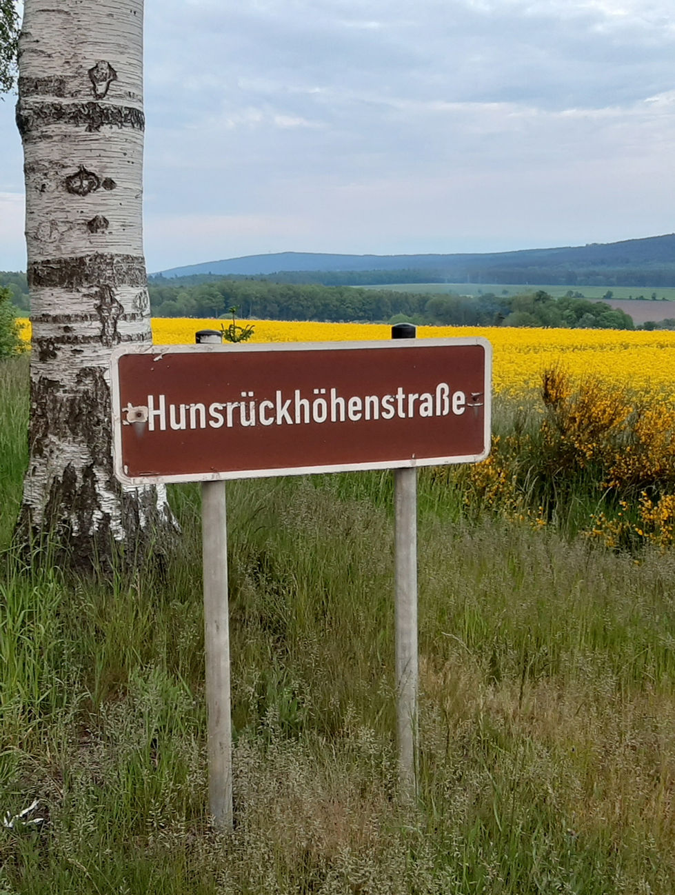 Hunsrückhöhenstraße