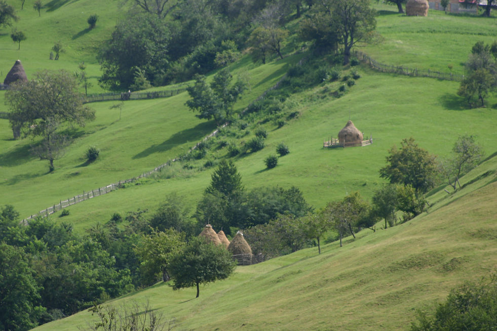 Karpaten, Transsilvanien, Carpathians, Transilvania, Romania