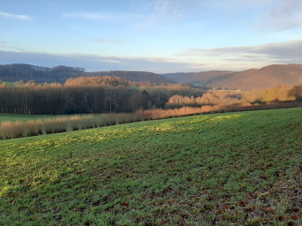 Höhenweg Elfringhauser Schweiz