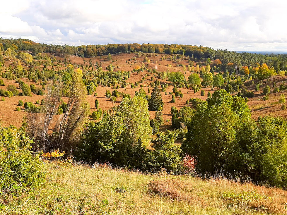Lüneburger Heide, Totengrund