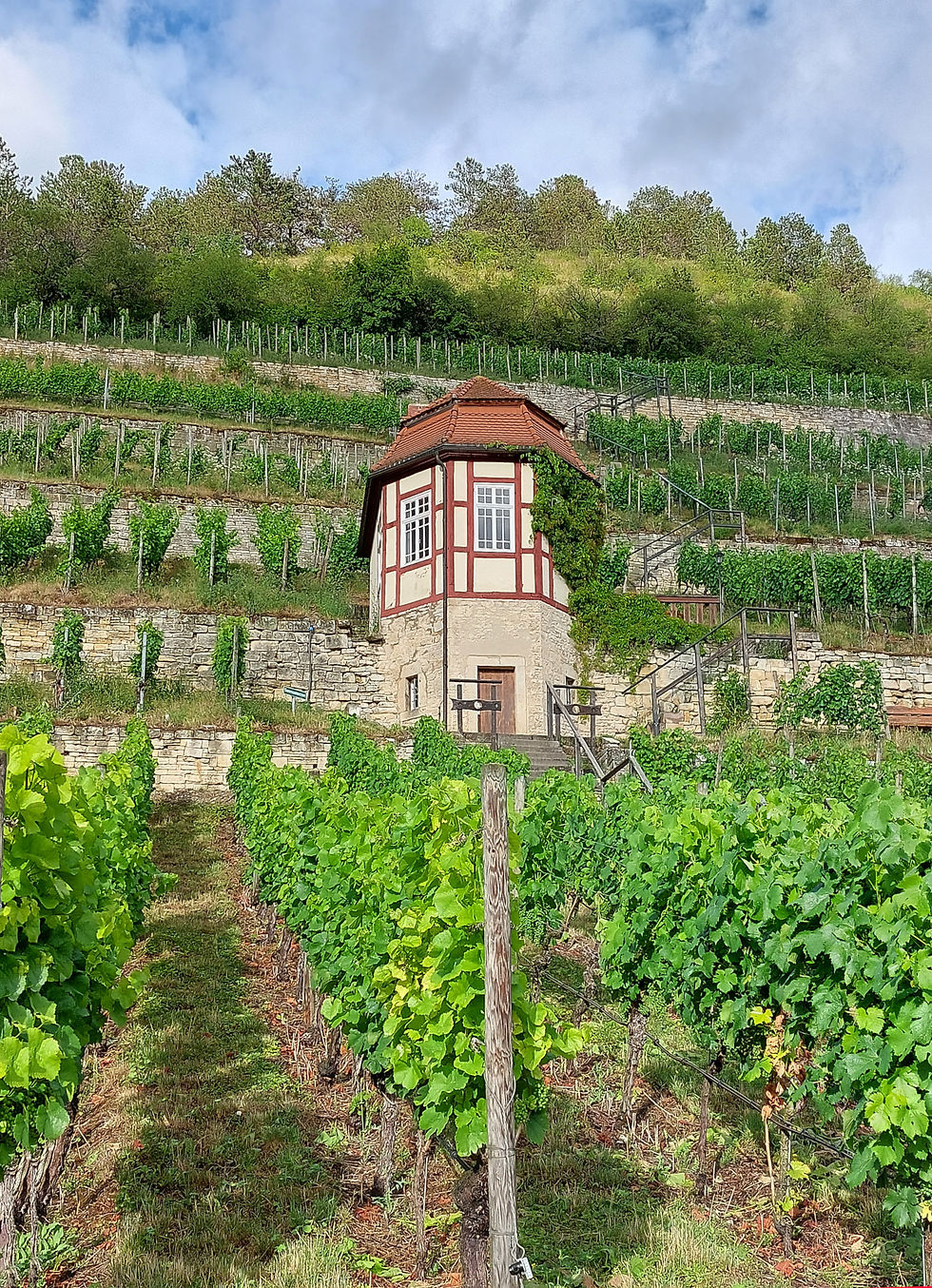 Herzöglicher Weinberg Freyburg, Weinberghäuschen Unstrut