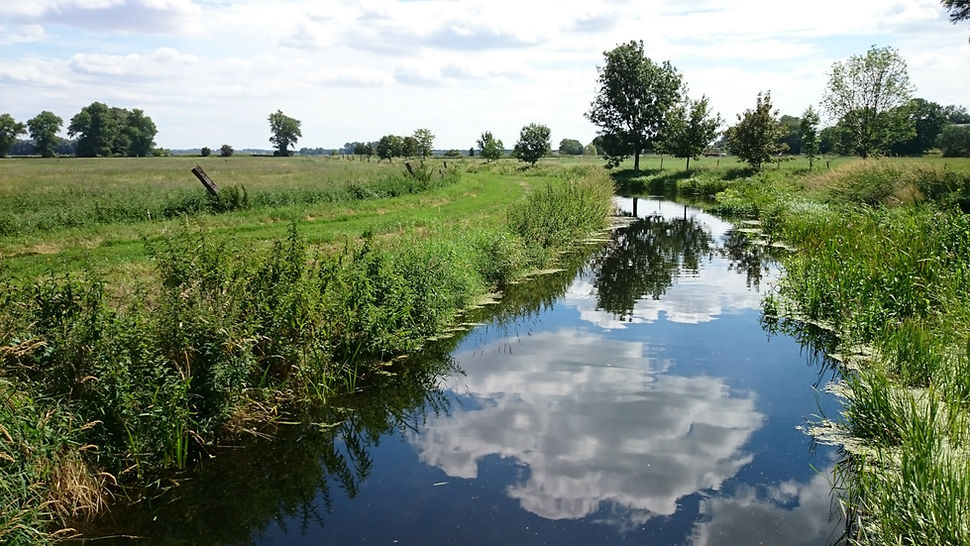 Linum, Storchendorf, Stork Village, Brandenburg