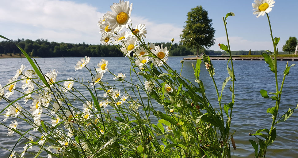 Lake Grienericksee, Rheinsberg