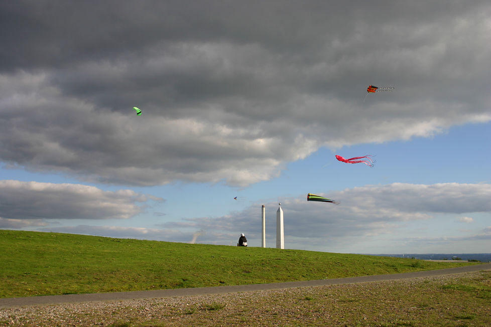 Halde Hoheward, Herten