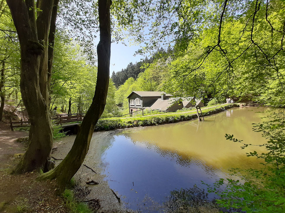 Manuelskotten, Wuppertal, Water Mill