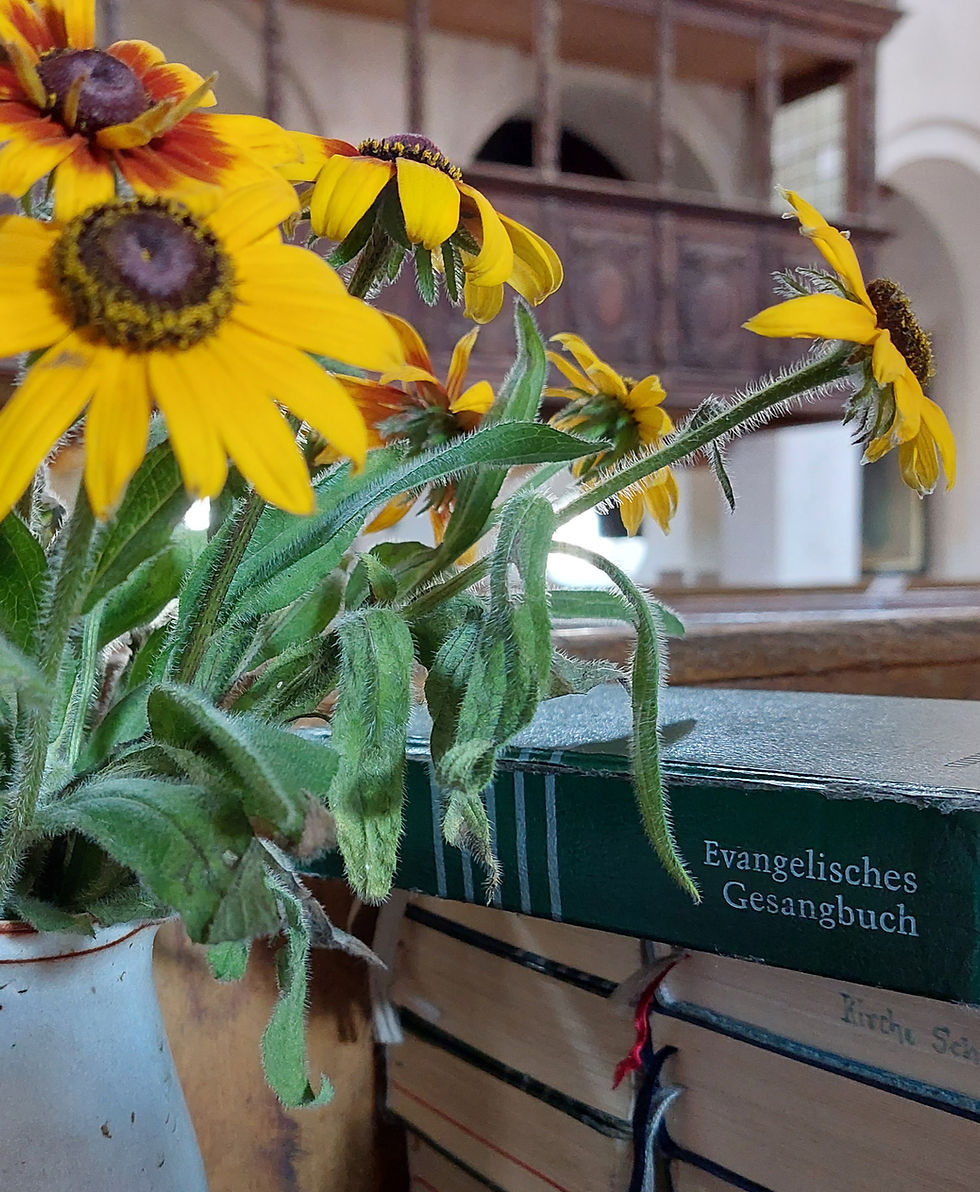 Dorfkirche St. Marien und Willebrord in Schönhausen
