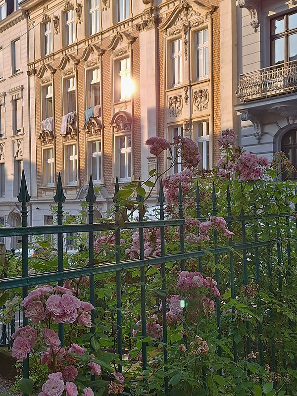 Ottenbrucher Straße Elberfelder Nordstadt, Wuppertal