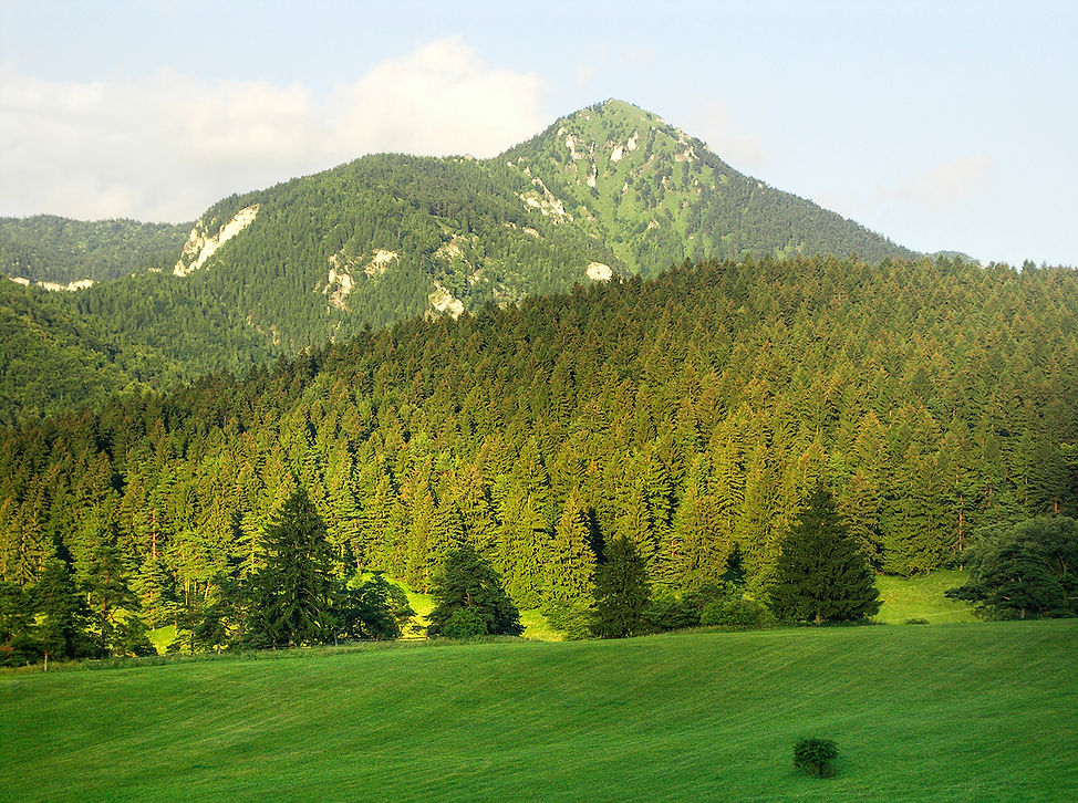Karpaten, Transsilvanien, Carpathians, Transilvania