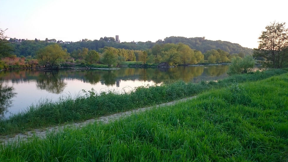 Ruhraue bei Hattingen Blankenstein