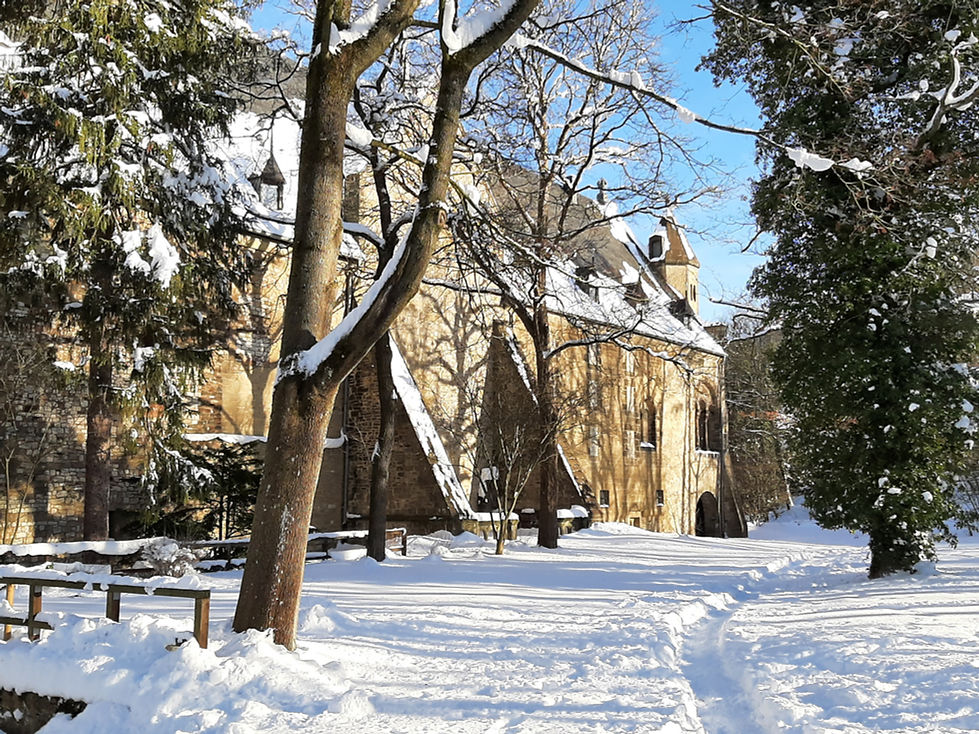 der Pfalzgarten Goslar