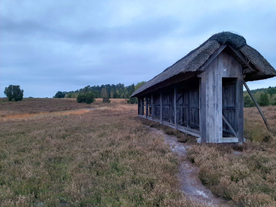 Unterstand für Bienenkörbe, Heide
