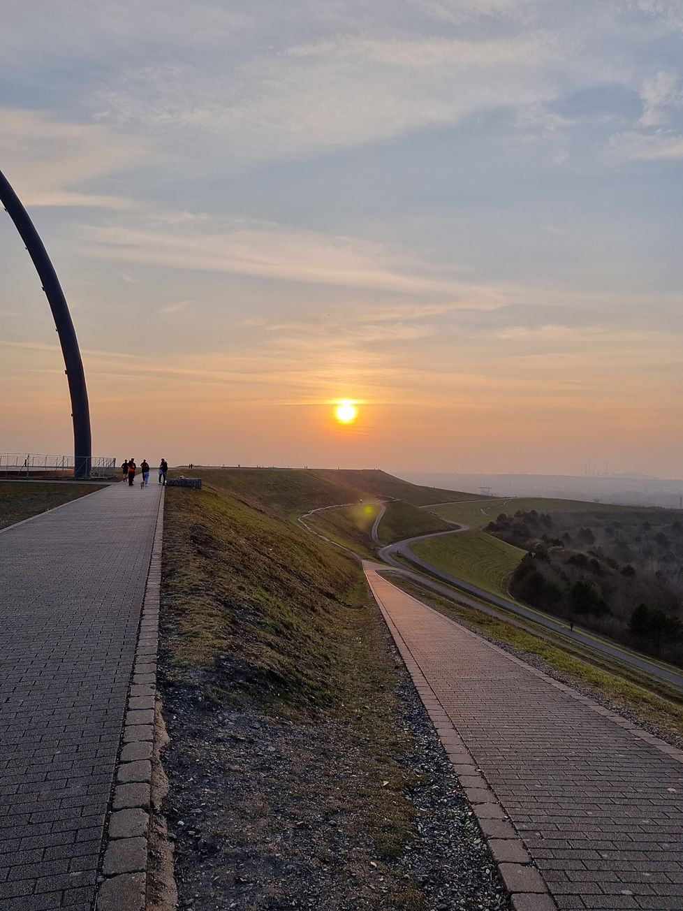 Halde Hoheward, Herten