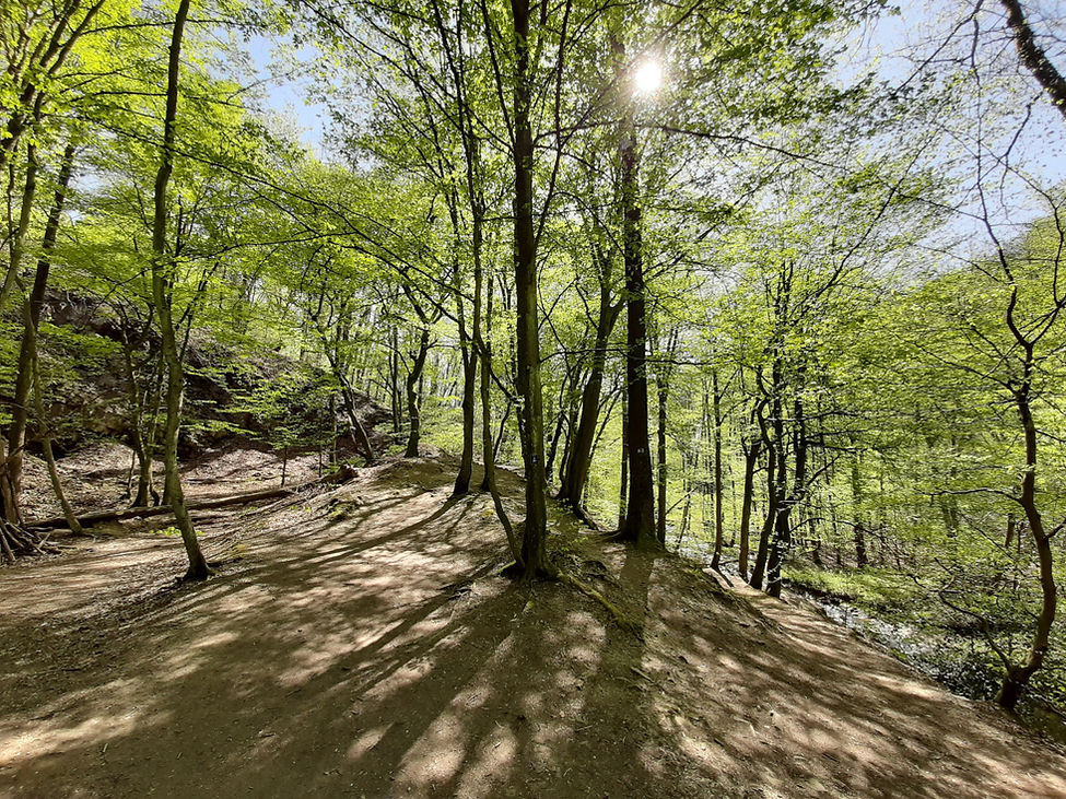 Gelpetal, Gelpe Valley, Wuppertal