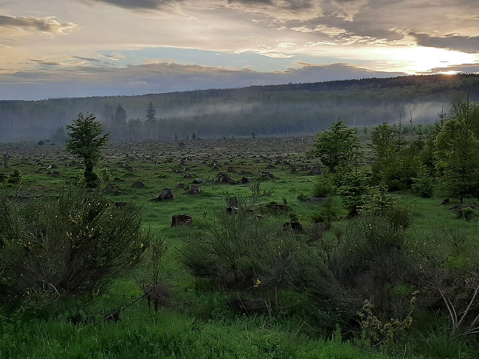 Hunsrück