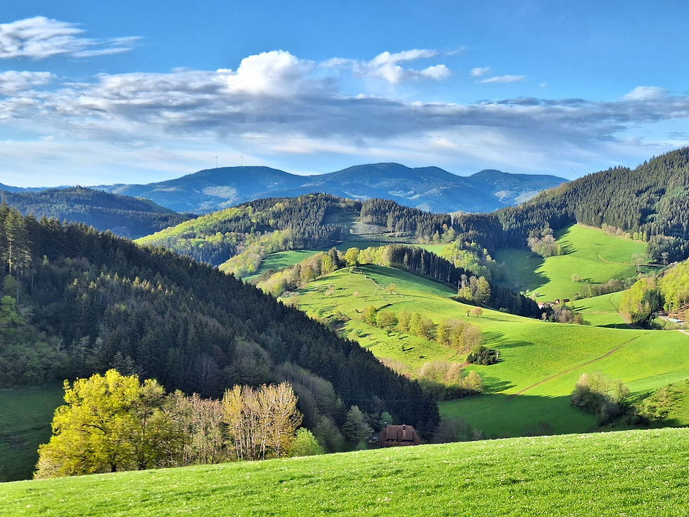 Schwarzwald, Black Forest