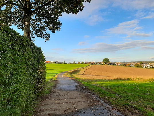 Teil der Alten Heerstraße, der wegen ein