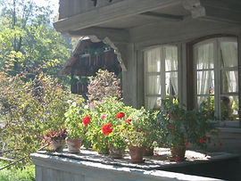 Schweiz0039 Kopie.JPG