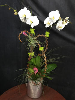Arrangement M-29