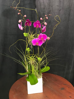 Arrangement M-9