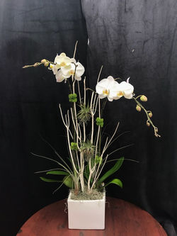 Arrangement M-8