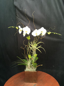 Arrangement M-12