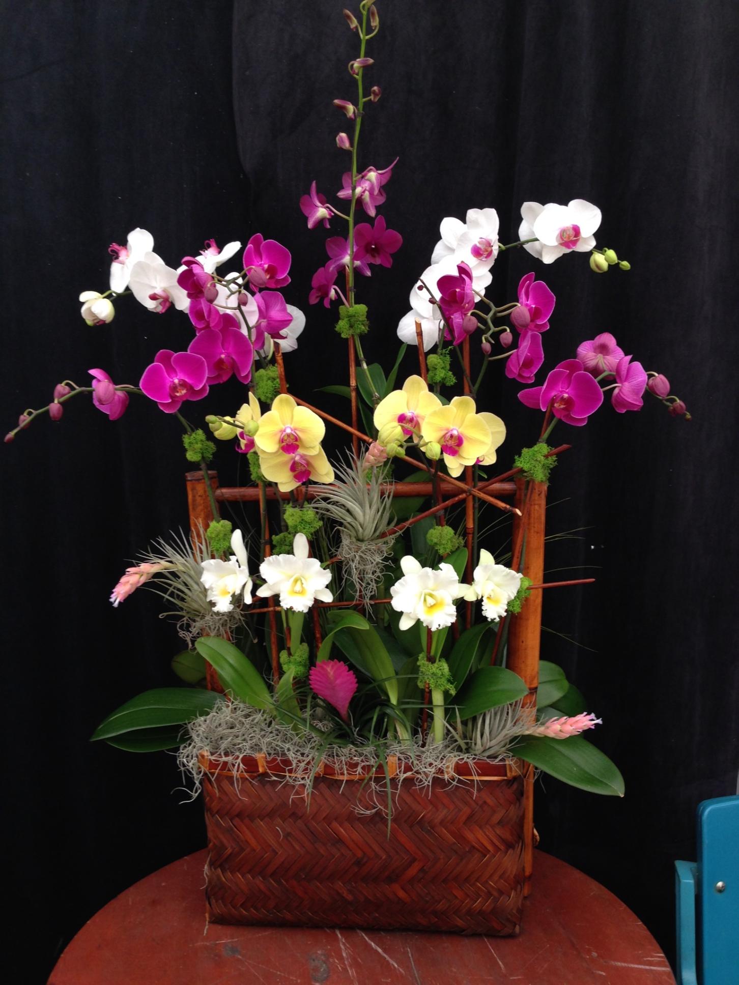 Orchid Arrangements Custom Elegant Orchids United States