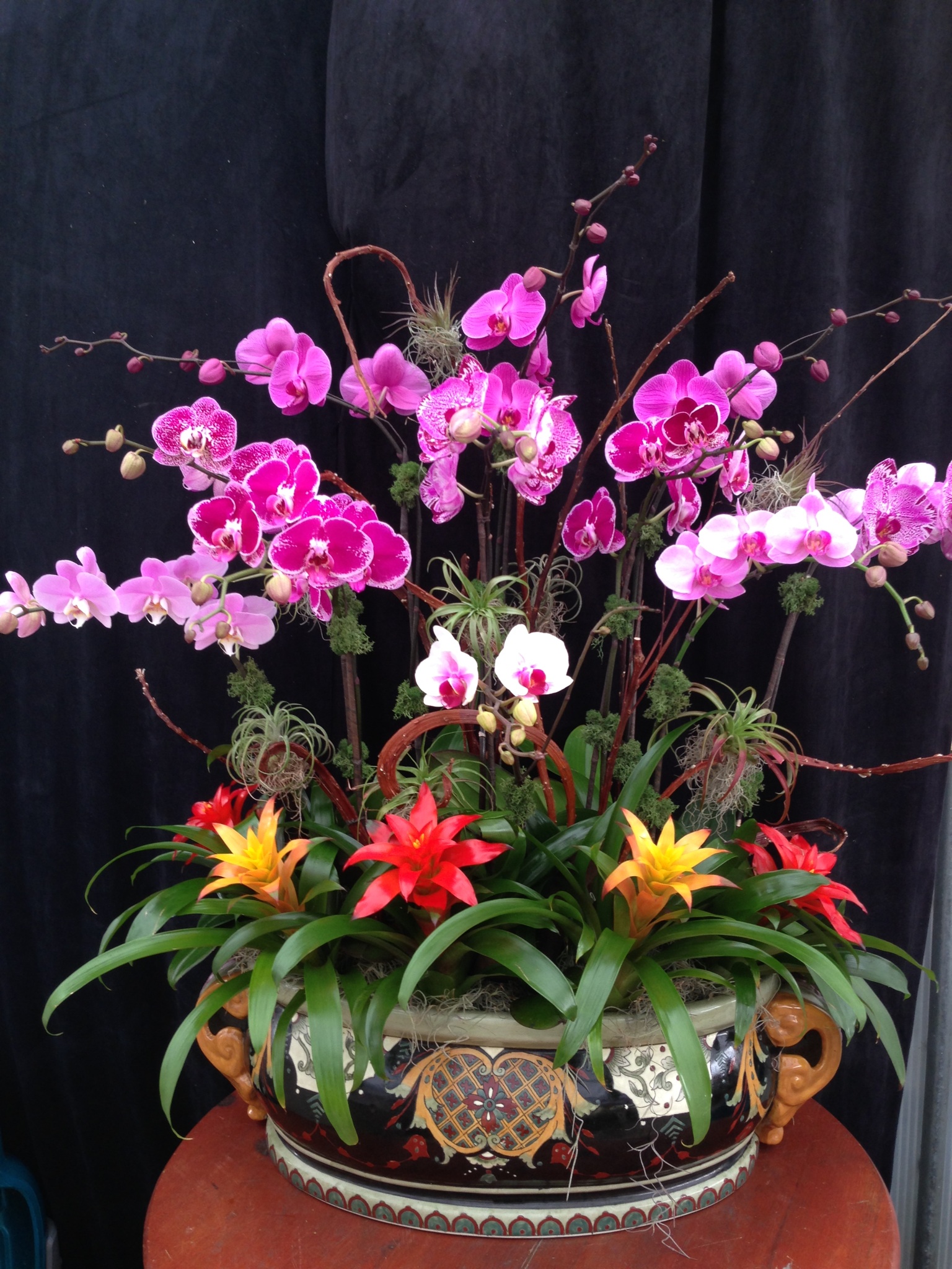 Orchid Arrangements Custom Elegant Orchids United States