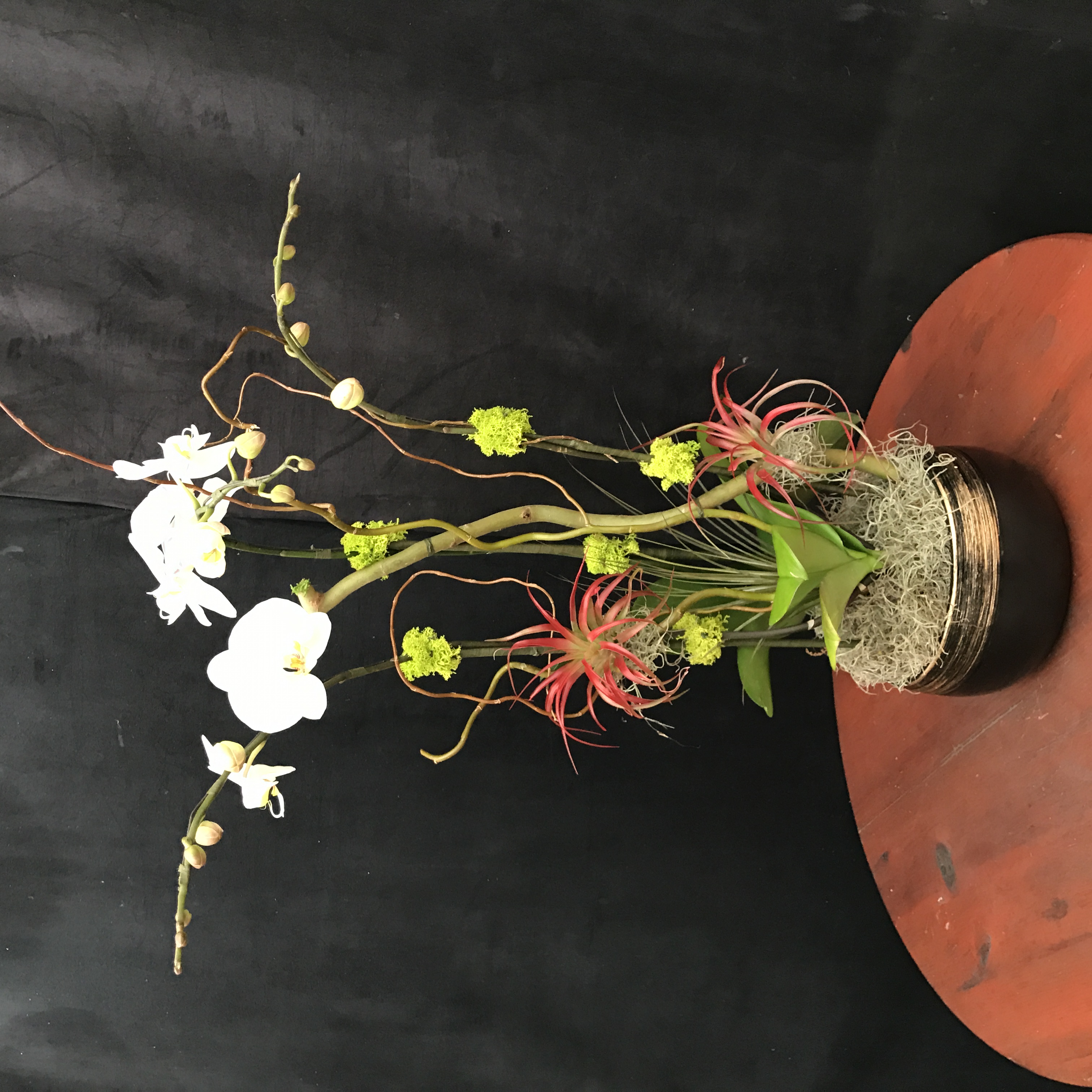 Orchid Arrangements 110 Elegant Orchids United States