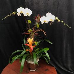 Arrangement M-20