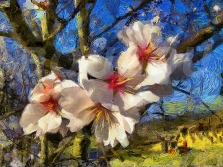 Envie de printemps