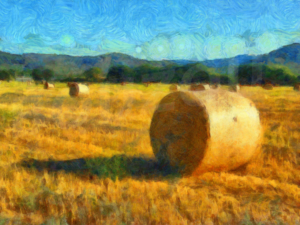 Jean-Louis Bouzou - Meules de foin aux Borrels...