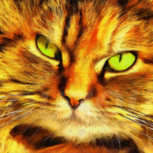 Jean-Louis Bouzou - Chatte persane...