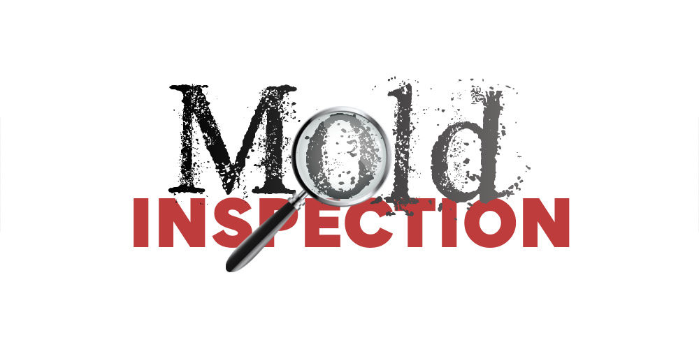 Professional Mold Inspection and testing. We accurately locate moisture sources and assess the full extent of hidden mold contamination in your property. 🔬
Give us a call today at 📲 (561) 778-7880 or click on the link below to learn more about our Mold Inspection services.