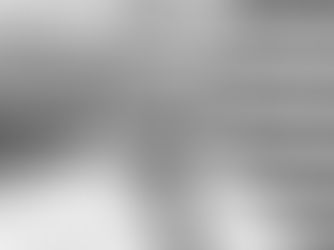 EDITORIAL:
EL BARCO SE HUNDE.