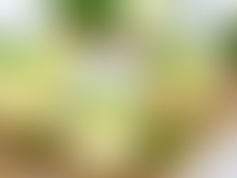 LIMONES PARA HACER LIMONADA