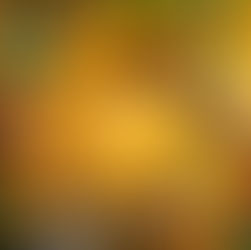 EL SECTOR DE BARES CRECE LENTAMENTE TRAS LA PANDEMIA.