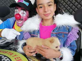 Expopet 2023 presenta una nueva edición repleta de amor, bienestar y experiencias para los petlovers