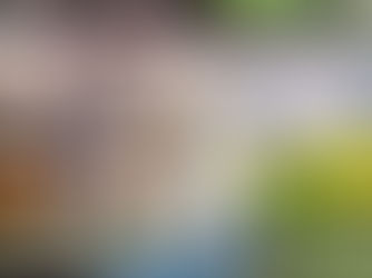 La Escuela de la Felicidad, una iniciativa de Expopet que promueve el bienestar y recreación de las mascotas.