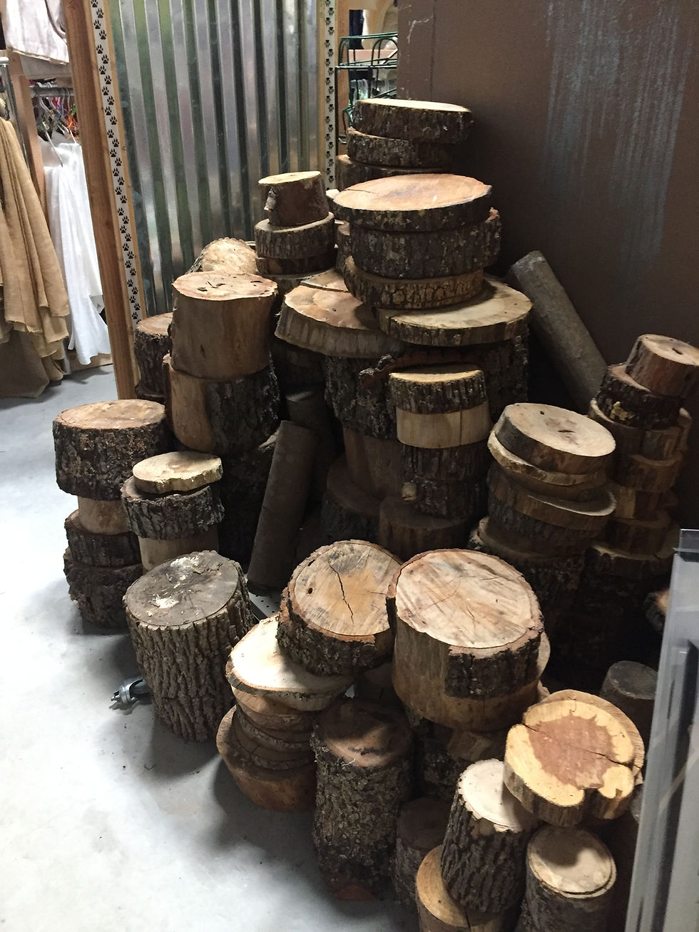 Thumbnail: Stump Slices Assorted