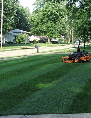 Lawn Care