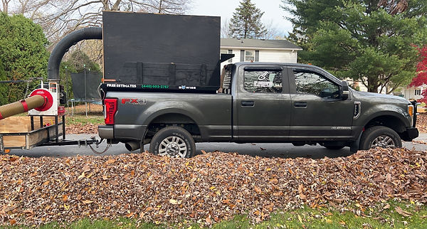 Leaf Cleanup
