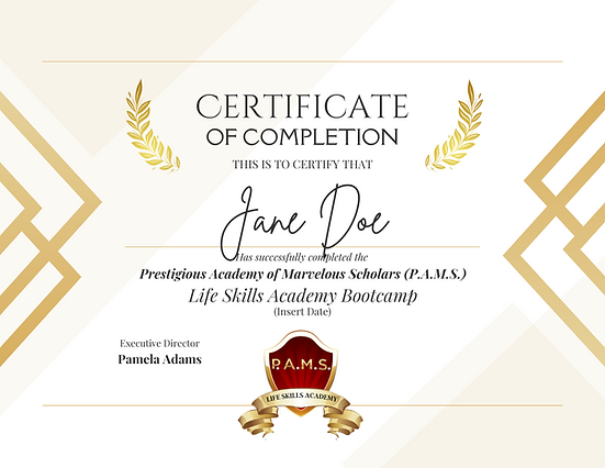PAMS LIFE SKILLS BOOTCAMP CERTIFICATE OF COMPLETION.png