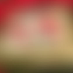 One more year of comradery with the New Hope Community families (CNE- Communidade Nova Esperanca)