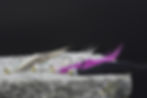 Thumbnail: Euro Mini Leech
