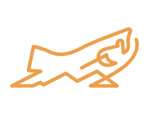 Mainely_logos_final_colorways-ai copy.png