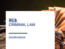 刑法 如何处理刑事调查或刑事指控