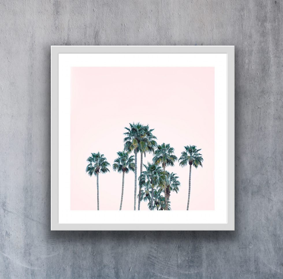 Thumbnail: Pink Palms