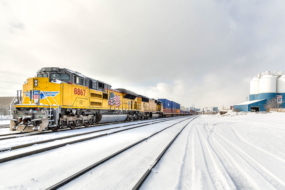 Snowy Tracks